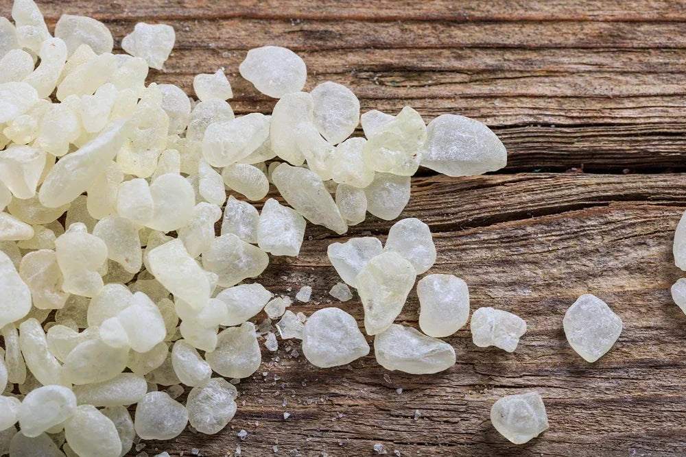 Mastic de chios effets secondaires