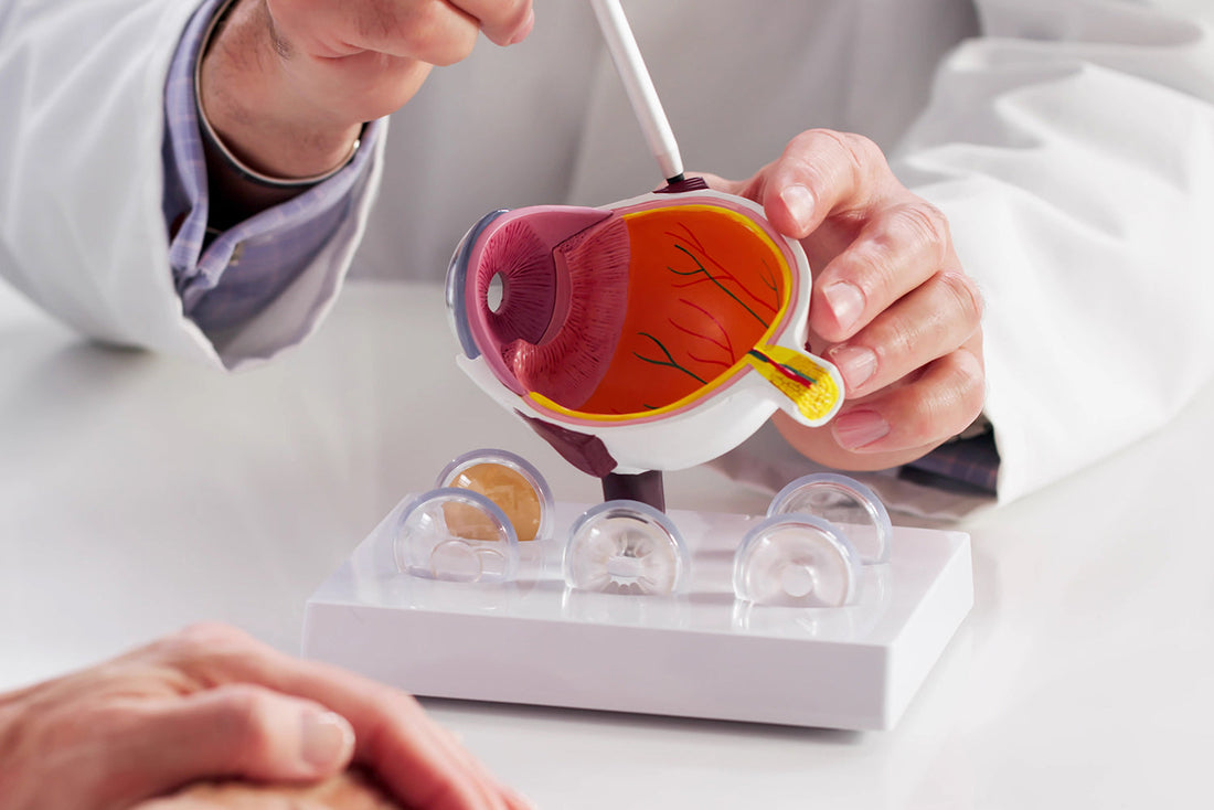 Tension oculaire et hypertension oculaire : comprendre l’équilibre de la pression intraoculaire et les approches de soutien