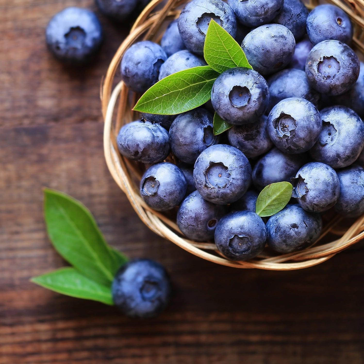 Extrait de myrtille - pour un confort visuel optimal