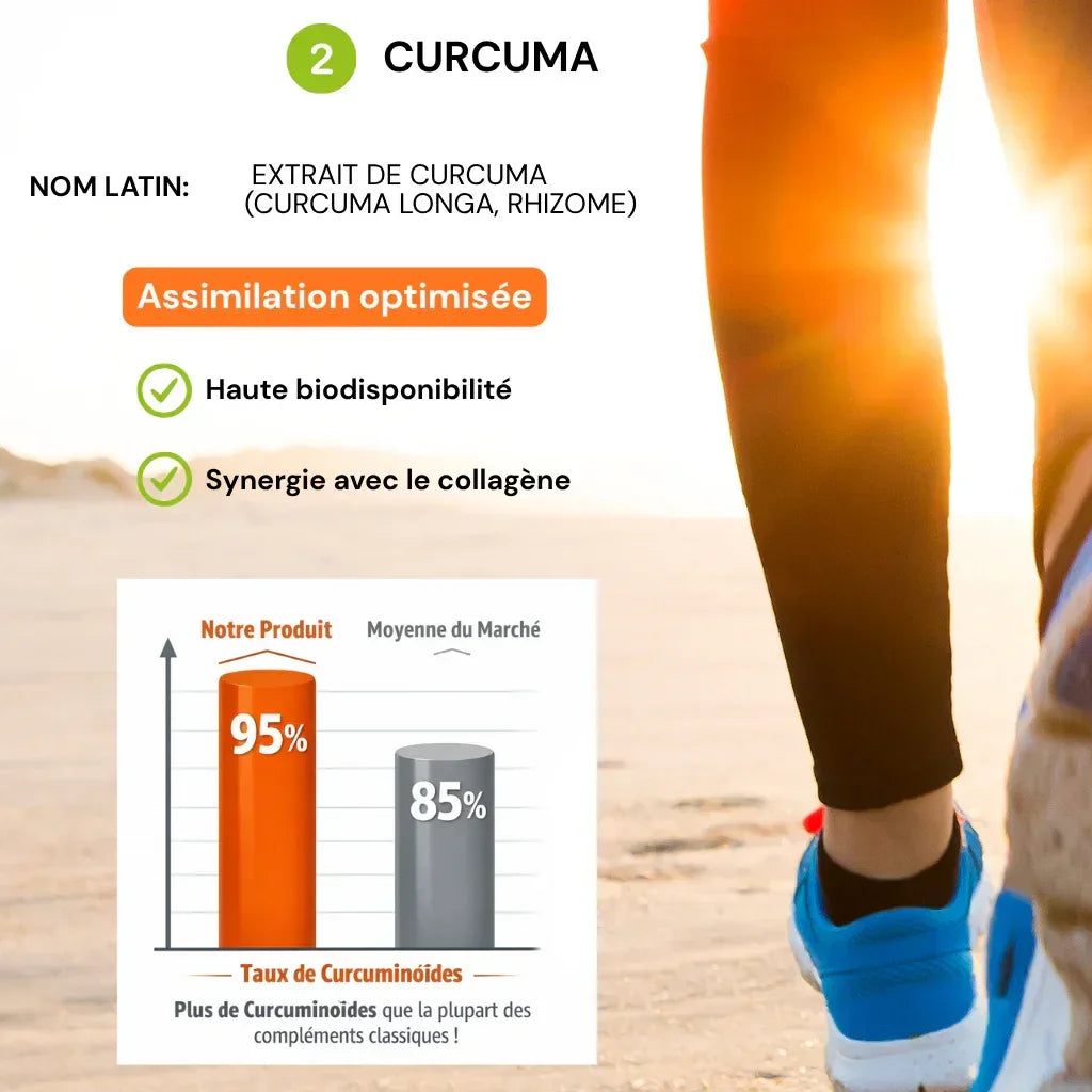 Curcuma IT