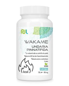 Wakame (Undaria pinnatifida)